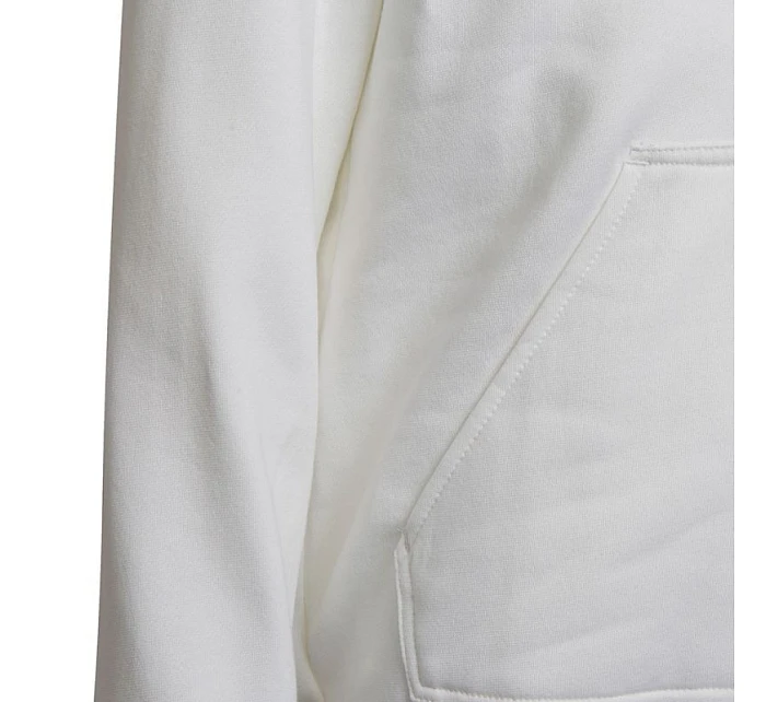 Detské futbalové tričko Entrada 22 Hoody Jr HG6303 - Adidas