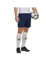 Pánske tréningové šortky Entrada 22 M H57488 - Adidas