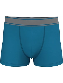 K 800 Pánské boxerky model 22534669 tropical blue - Kariban