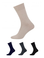 Pánské ponožky Bambus  n model 19421837 - Steven
