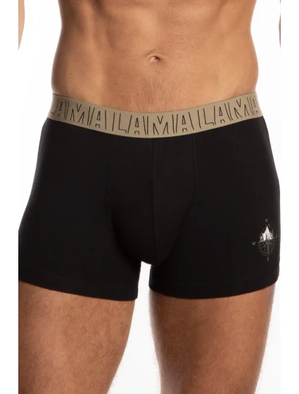 PÁNSKE ŠORTKY M-1058SZG 2-PACK