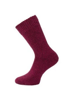 Thermo ponožky 3542 model 21339442 - WiK