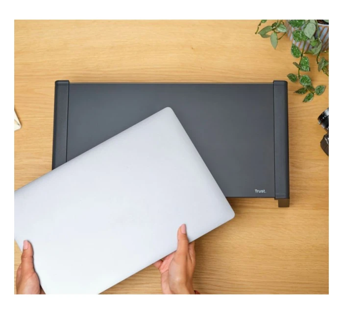 NA model 21861543 - Trust