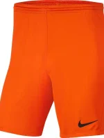 Pánska obuv Dry Park III NB K M BV6855 819 - Nike