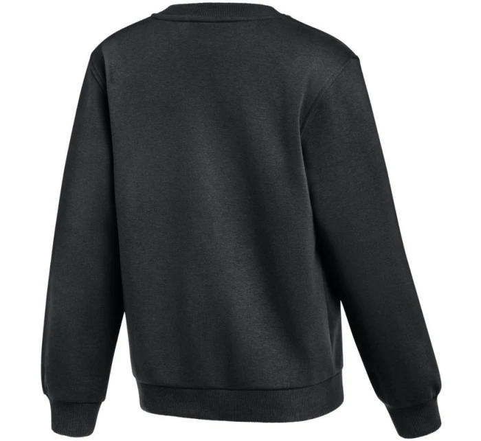 Dětská mikina Park 26 Fleece Crew černá model 21948244 010 - NIKE