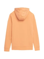 Pánská mikina M SS23TSWS  model 18353885 - 4F