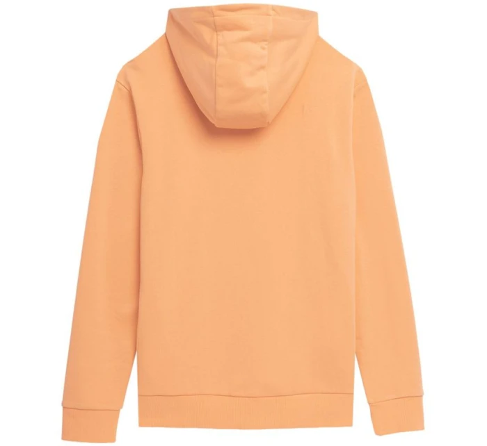 Pánská mikina M SS23TSWS  model 18353885 - 4F