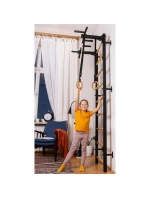 DRABINKA Z DRĄŻKIEM I DLA dětské model 21830293 - Benchk DRABINKA Z DRĄŻKIEM I DLA dětské model 21830293 - Benchk