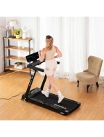 PÁS model 21818244 - HMS