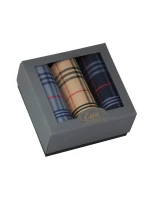 Pánské kapesníky komplet 3 kusy model 19484479 - EGA Pánské kapesníky komplet 3 kusy model 19484479 - EGA