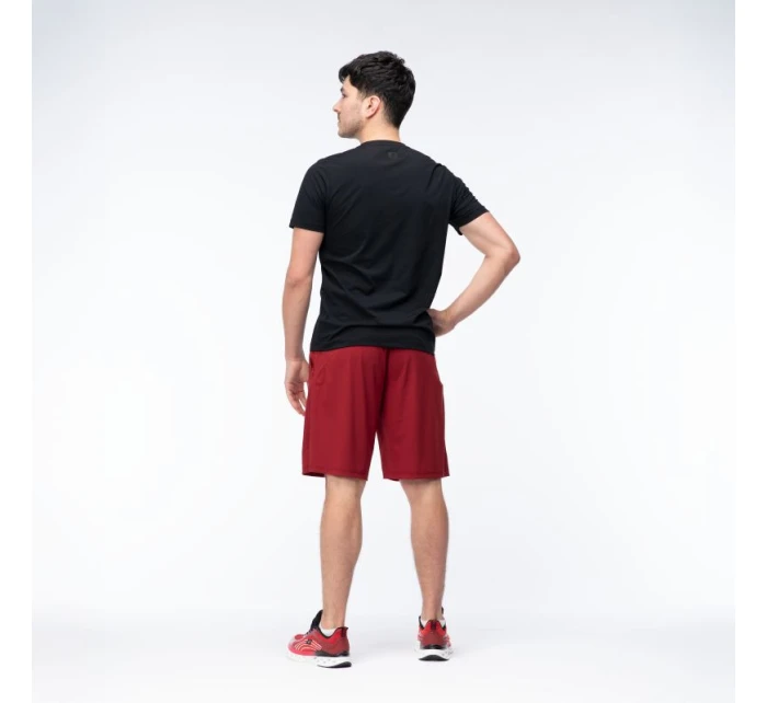 Pánské šortky model 21357277 - IQ