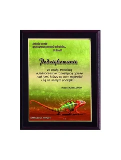 Plastový diplom s farebným dotykovým laminátom