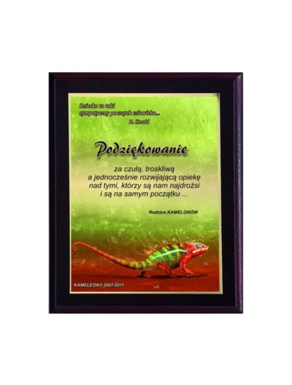 Plastový diplom s farebným dotykovým laminátom