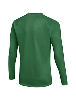 Pánske tričko Nike Dri-FIT Park VIII, zelené, HV8232 302