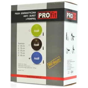 Gymnastická lopta Profit 65 cm s pumpou DK 2102