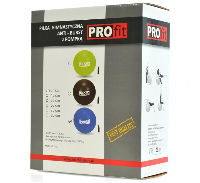 Gymnastický míč 65 cm s DK 2102 model 21155486 - PROfit