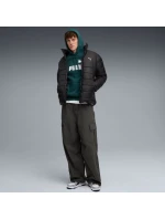 Pánska mikina Puma ESS No.1 Logo Hoodie FL M 682571 75