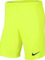 Pánska obuv Dry Park III NB K M BV6855 702 - Nike