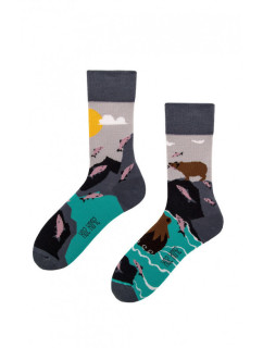 Ponožky pánske Medveď a Rybky viacfarebná - spox Sox
