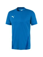 Puma teamGOAL 23 Jersey M 704171 02 pánske dresy