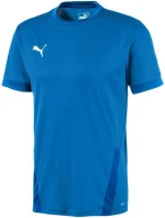 Puma teamGOAL 23 Jersey M 704171 02 pánske dresy