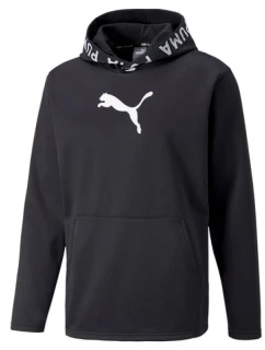 Puma Train Pwr Fleece M 520893 01