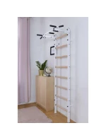 DREVENO-KOVOVÝ GYMNASTICKÝ REBRÍK S HRAZDOU LAVIČKA 221W