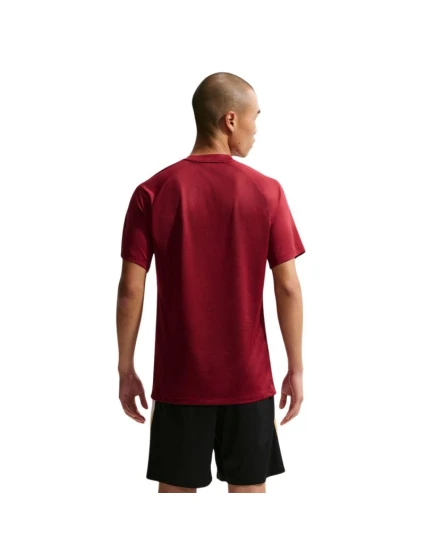 DriFit Park VIII pánské tričko bordó  pánské model 21910905 - NIKE