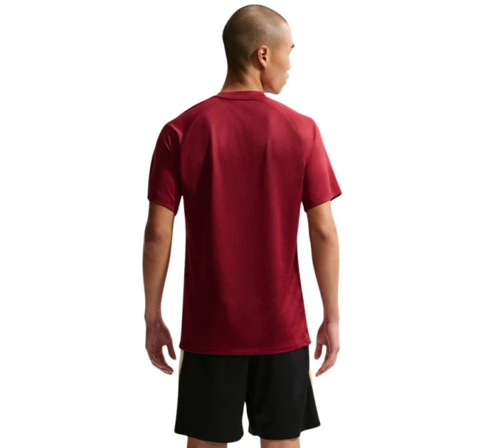 DriFit Park VIII pánské tričko bordó  pánské model 21910905 - NIKE