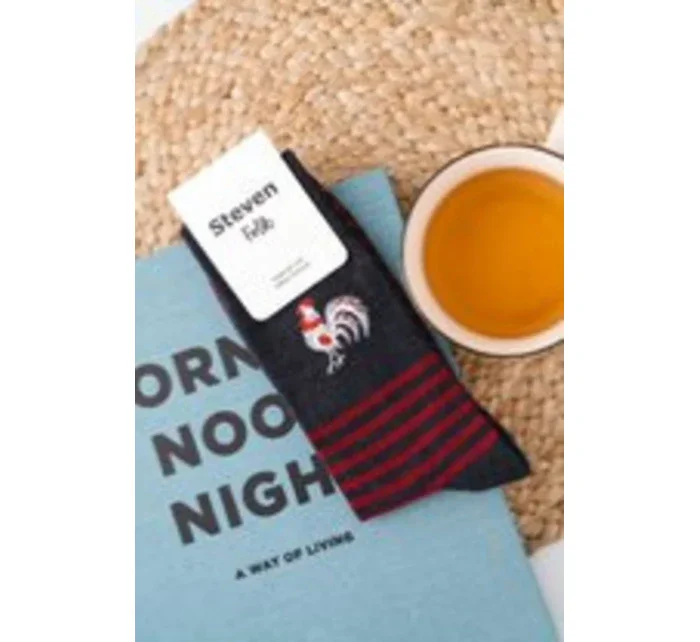 Pánske ponožky FOLK 118