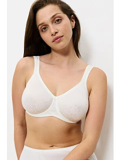 Soft model 229989 Triumph