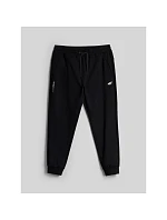 Spodnie dresowe joggery męskie model 22548177 - 4F Spodnie dresowe joggery męskie model 22548177 - 4F