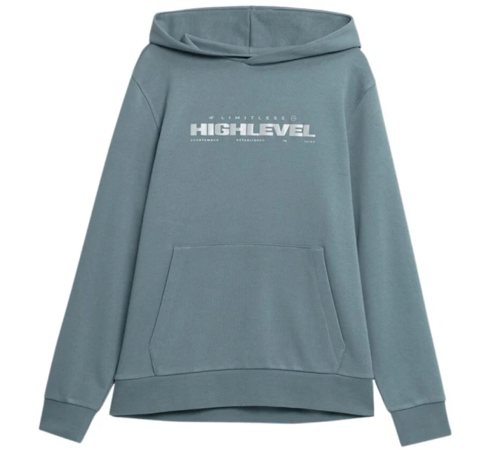 Pánská mikina M H4Z22 model 17656000 32S - 4F