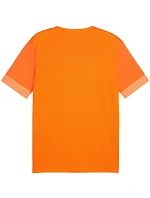 teamGoal Jersey M 08 pánské model 21283917 - Puma