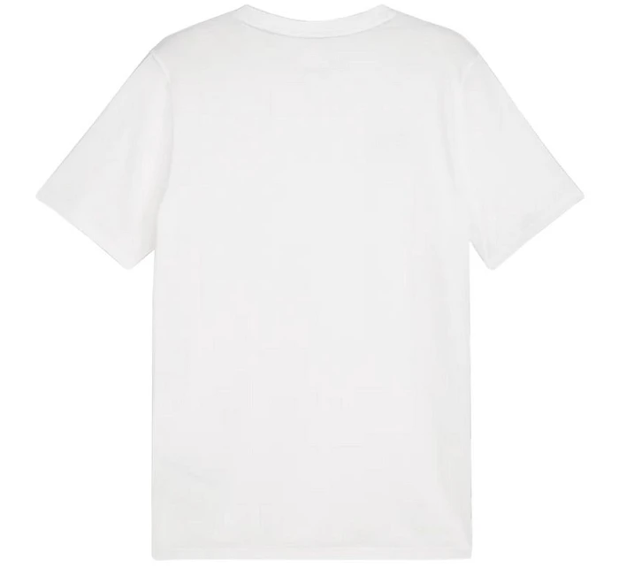 Team Goal Casuals Tee M model 21054529 04 pánské - Puma Team Goal Casuals Tee M model 21054529 04 pánské - Puma