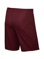Juniorské futbalové šortky Nike Park II 725988-677