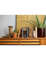 Icons   s model 21864011 - Lego