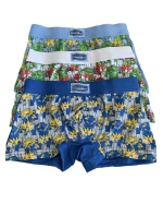 Chlapecké boxerky model 22066131 - Gasolineblu