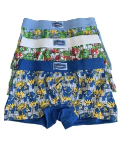 Chlapecké boxerky model 22066131 - Gasolineblu