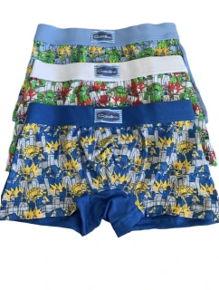 Chlapecké boxerky model 22066131 - Gasolineblu