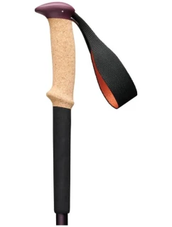 Trekingové hole Trail model 21333557 - Black Diamond