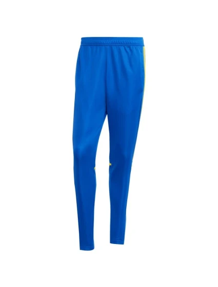 Nohavice adidas Squadra 25 Training M JP3152