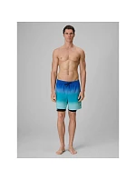 Pánské plážové šortky typu boardshorts s  značky model 22279610 - 4F