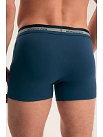 PÁNSKÉ BOXERKY  AW26 model 22341909 - Henderson