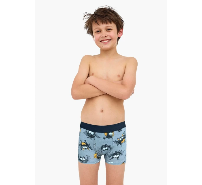 Boxerské šortky Cornette Young Boy 700/154 Pálka 134-164