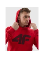 Mikina M model 20790687 pánské - 4F