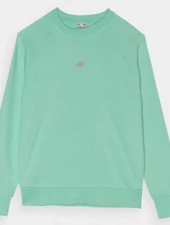 Mikina Jr model 19912480 - 4F