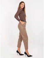 Spodnie IT SP model 21441236 ciemny bezowy - FPrice