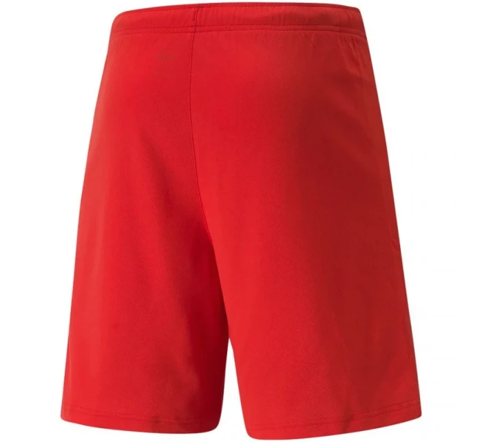 Pánske teamRISE Short M 704942 01 - Puma