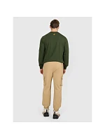 Pánské volnočasové kalhoty model 22117359 - 4F